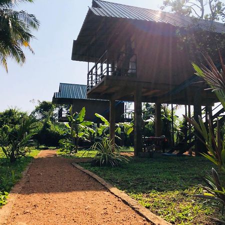 Sigiriya Paddy Field Hut Villa Oda fotoğraf