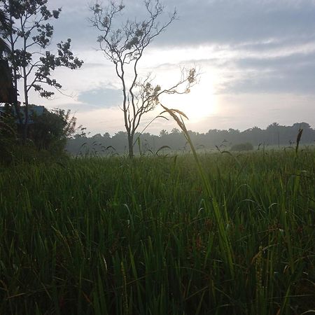 Sigiriya Paddy Field Hut Villa Oda fotoğraf