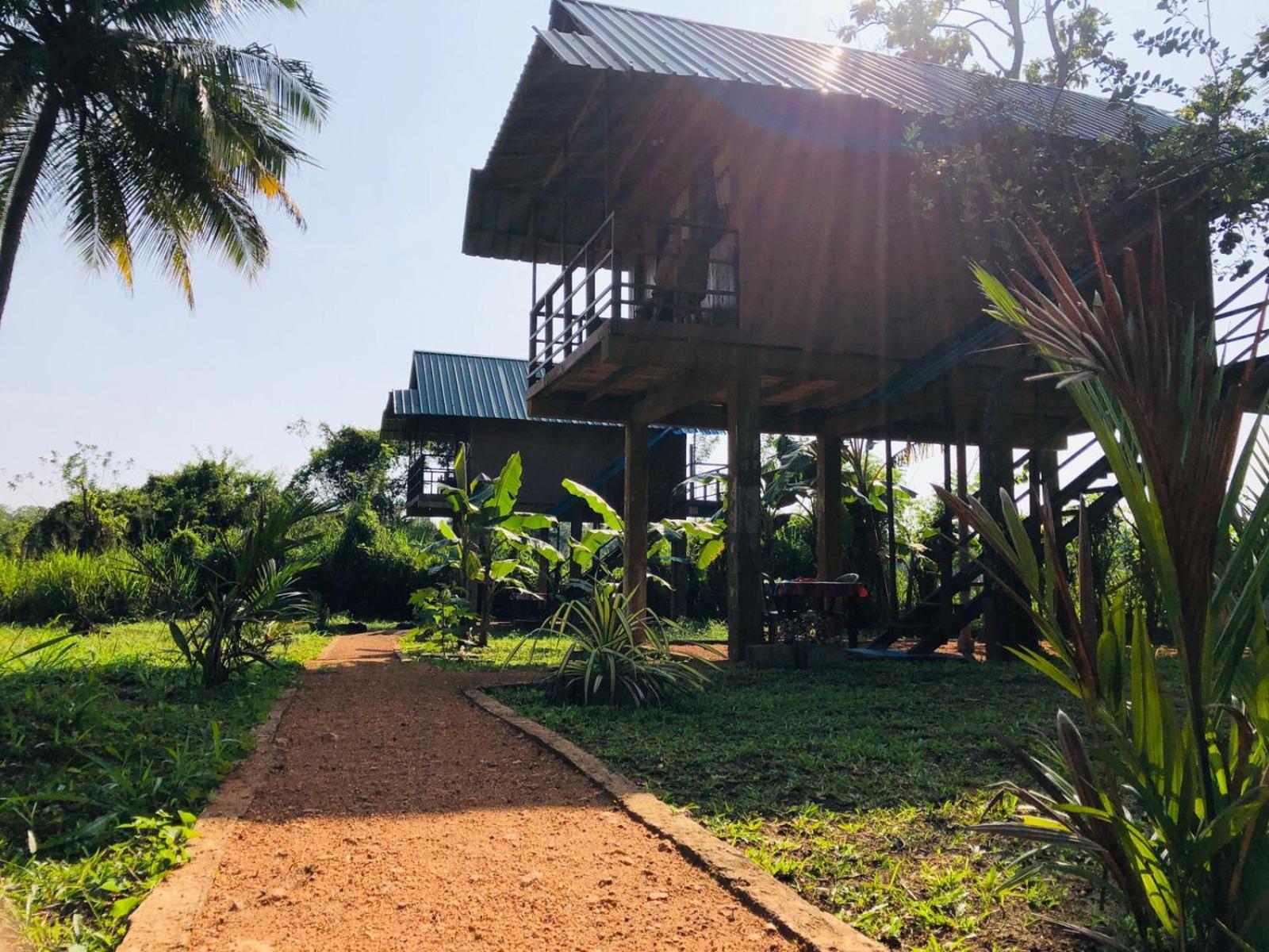 Sigiriya Paddy Field Hut Villa Oda fotoğraf